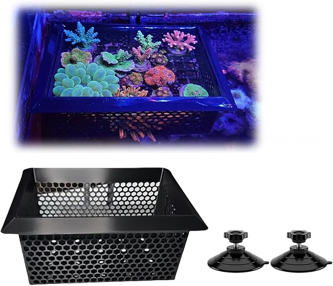 Floating Coral Basket for Reef Tanks (4x6 inch), Anemone and Frag Isolator Cup Mount, Saltwater Aquarium Safe