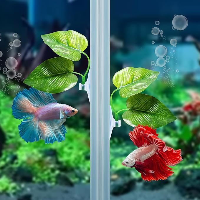 CousDUoBe 2 Pack Betta Fish Leaf Pad,2 Pack Betta Fish Acrylic Tube Tunnel