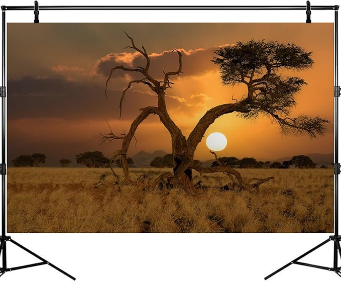 Sunset Desert Reptile Tank Background Beautiful Sunrise Desert Old Tree Terrarium Background Sand Peaks Dunes Sunset Over Desert Reptile Habitat Background Sunset Desert Aquarium Background 72x18in