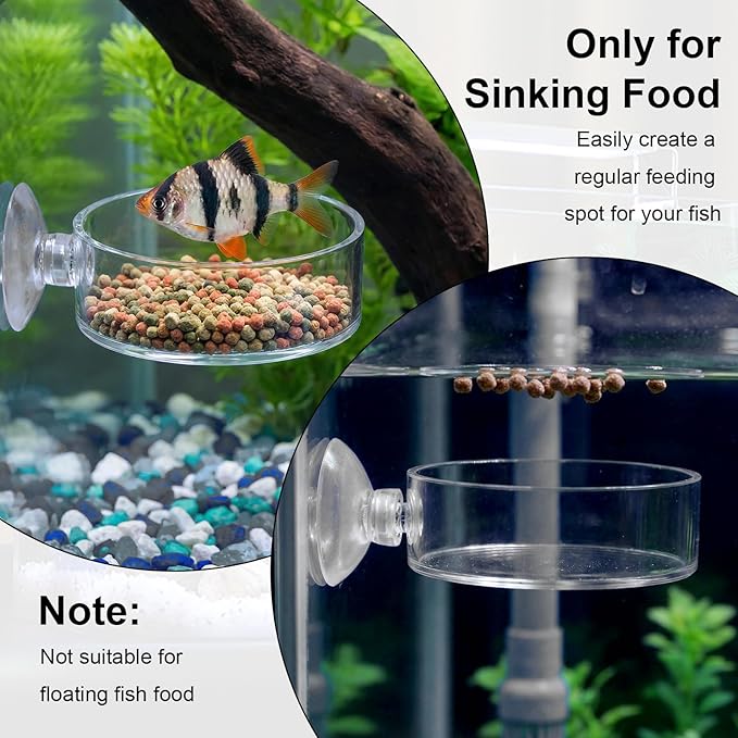 2PCS Shrimp Feeding Dish, Shrimp Feeder Dish with Suction Cups, Clear Fish Tank Feeder Bowl, Acrylic Fish Tank Feeding Bowl for Freshwater and Saltwater Tanks (60mm)