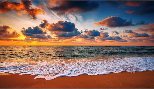 Sunset Seashore Aquarium Background Cloudscape Over the Sea Fish Tank Background Sunrise Seacoast Beach Reptile Tank Backgrounds Sea Waves Ocean Beach Tropical Island Reptile Tank Backgrounds 30x18in