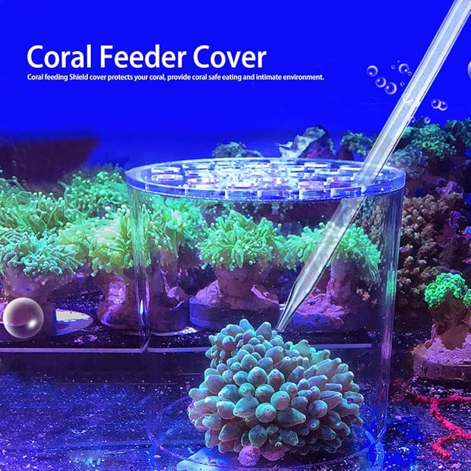 Coral Feeding Breeding Protection Cover, Acrylic Transparent Coral Feeder Cover Anti-Feeding Shrimp for Aquarium Fish Tank (80mm, 100mm, 120mm, 150mm) with Coral Feeding Tube(80mm)