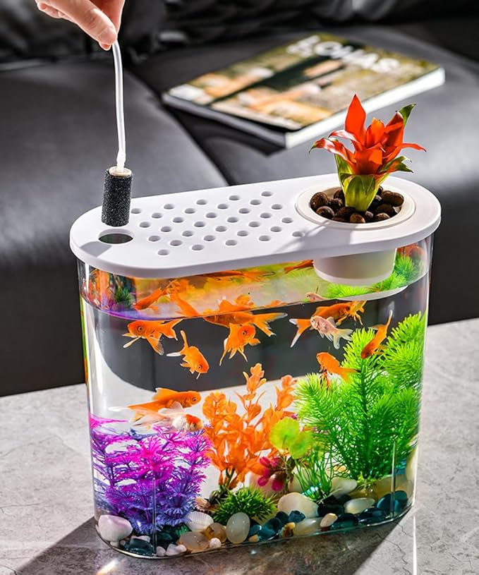 Small Fish Tank 2 Gallon, Desktop Mini Fish Tank, Starter Kits Betta Fish Tank with Decor Stones and Water Grass Decorations for Home or Office