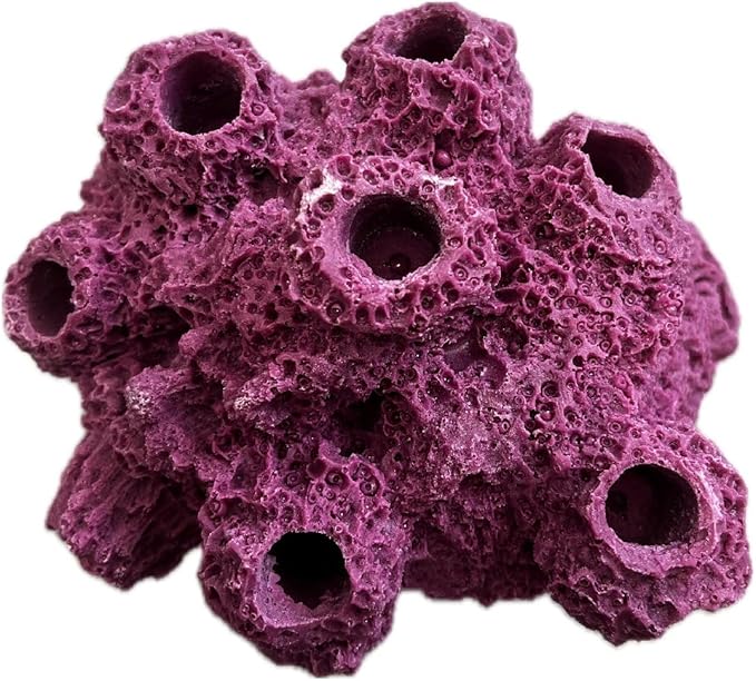 7 Hole Barnacle Cave frag Rock sandbed Base for Live Coral frag Plugs for Reef Aquariums (Coralline Purple)