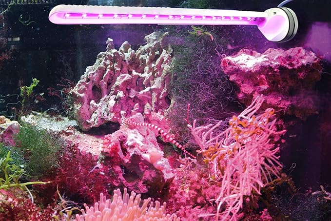 Tunze Eco Chic Refugium 8831