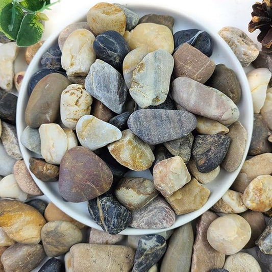 YISZM 10lbs Aquarium Rocks, 5/8" Natural River Rocks for Plants Decorative Polished Mixed Pebbles for Fish Tank, Landscaping, Gardening, Flower Pots, Vase Fillers, Indoor Water Fountains