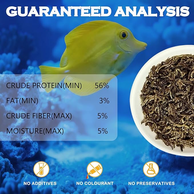 Freeze Dried Blood Worms Fish Food - High Protein Natural Aquatic Food for Tropical & Saltwater Fish, Betta, Goldfish, Cichlid, Guppy - Enhances Color & Growth 2.5 oz
