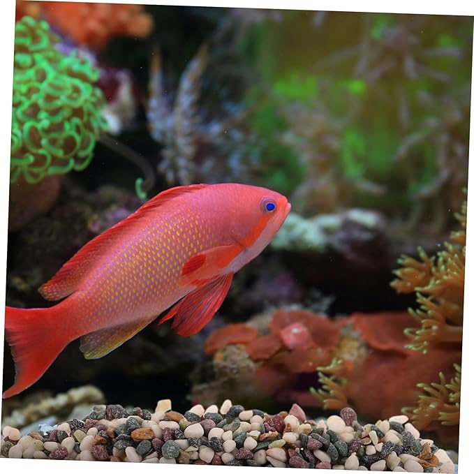 BESPORTBLE Quartz Sand Aquarium Stones Fish Tank Grit for Aquascaping Coarse Sand Stone for Decorative Bottom