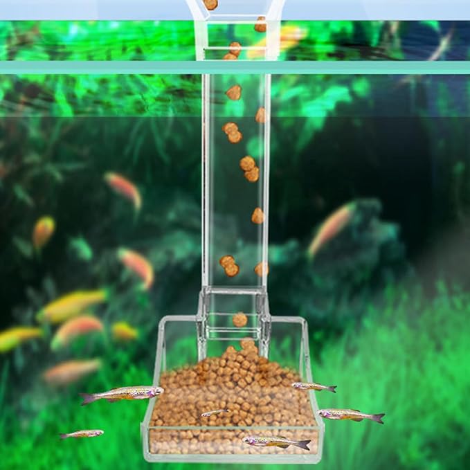 Fish Feeder Tubes 3pcs Aquarium Shrimp Feeding Tool Precise Automatic Feeding for Fish Tanks