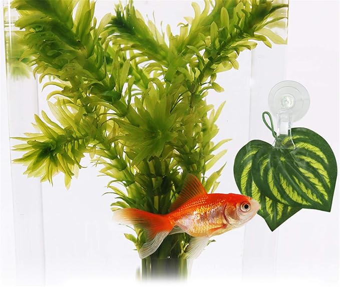 SLSON Fishes Veggie Seaweed Plant Suction Cup Clip Feeding Tool Feed Holder Aquarium Accessories for Fish Tank Fish Feeder Clips (4Pack Transparent)