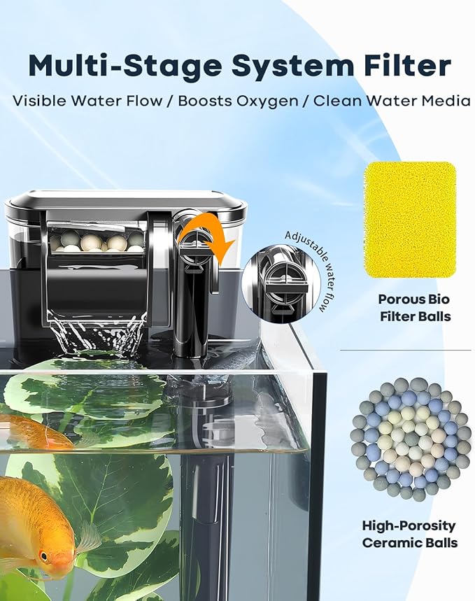 Wonderfactory 5 Gallon Small Aquarium Set Glass Fish Tank 6 Gallon, Starter Kit with Heater Water Pump Cleaning System Filter Bright Light Rocks Gravel Cleaning Tool, Clear Rimless Betta Plants