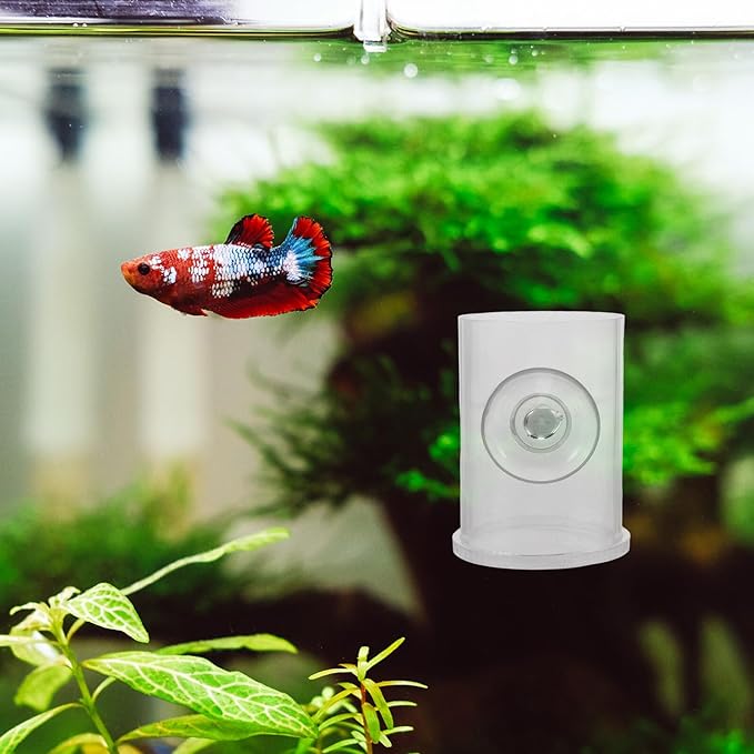 Fish Tank Feeder Semi-Automatic Feeding Ring with Suction Cup Acrylic Shrimp Food Dish for Aquarium Small Fish Turtle Supplies