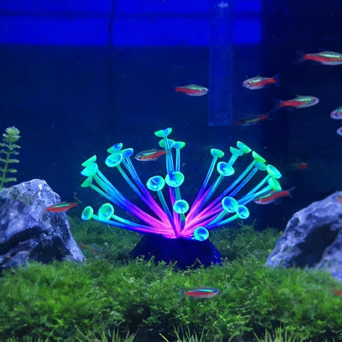 Suction Cup Anemone Aquarium Decor with Silicone Tentacles, Realistic Coral Reef Ornament for Saltwater and Freshwater Fish Tanks, Flexible Habitat for Shrimp, Invertebrates & Aquascaping (Green)