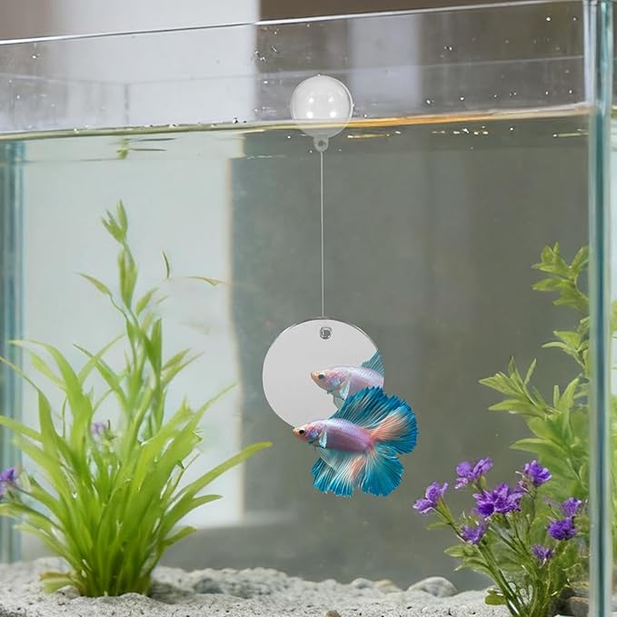 Beta Fish Aquariums Accessories, 1 Mirror with Floating Ball & 2 Exercise Training Ring Toys, Fish Feeding Ring, Betta Fish Toys Set for Tank, Enrichment Toys for Fish (Heart Shape)