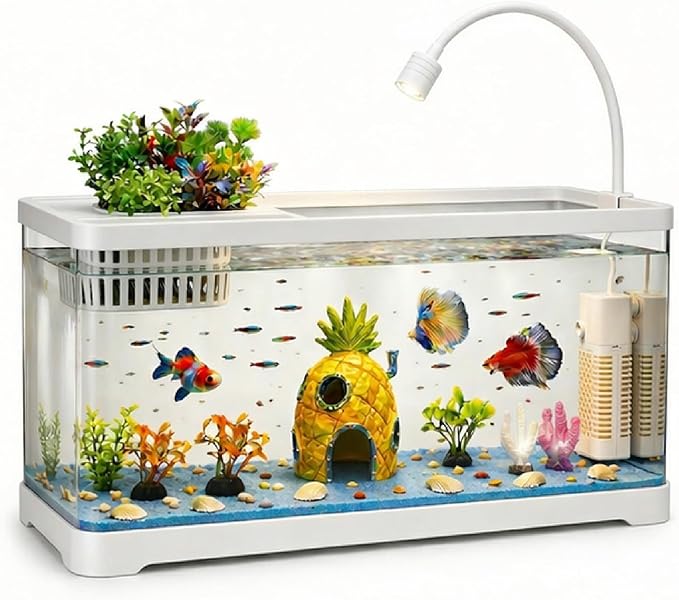 5 Gallon Fish Tank Aquarium Starter Kit with Filter and Light, All in One Small Fish Tank for Betta, Kids & Desktop Use, Self Cleaning Nano Aquarium with Lid(Large White)