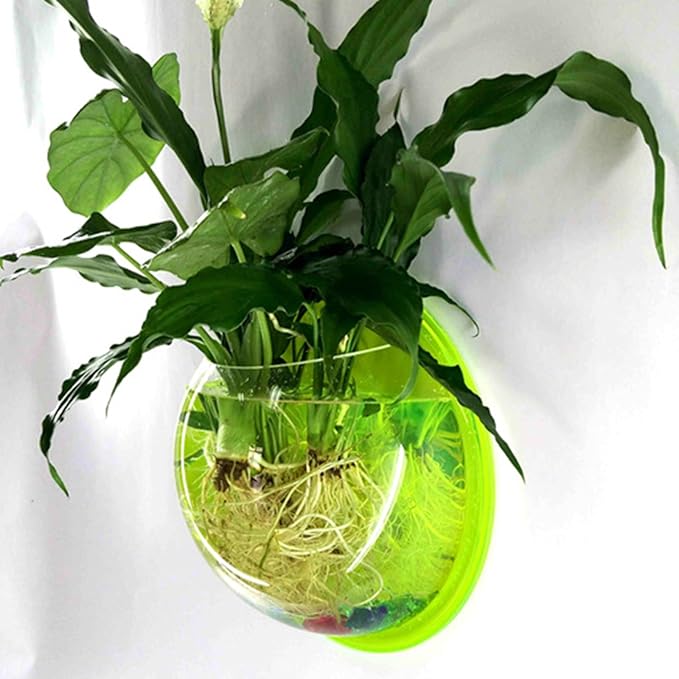 Wall Hanging Fish Bowl Acrylic Mounted Plant Pot Small for Tank Decoration Planter 5.9 Inch 7.7 10.2 Mounted Tank with Filter