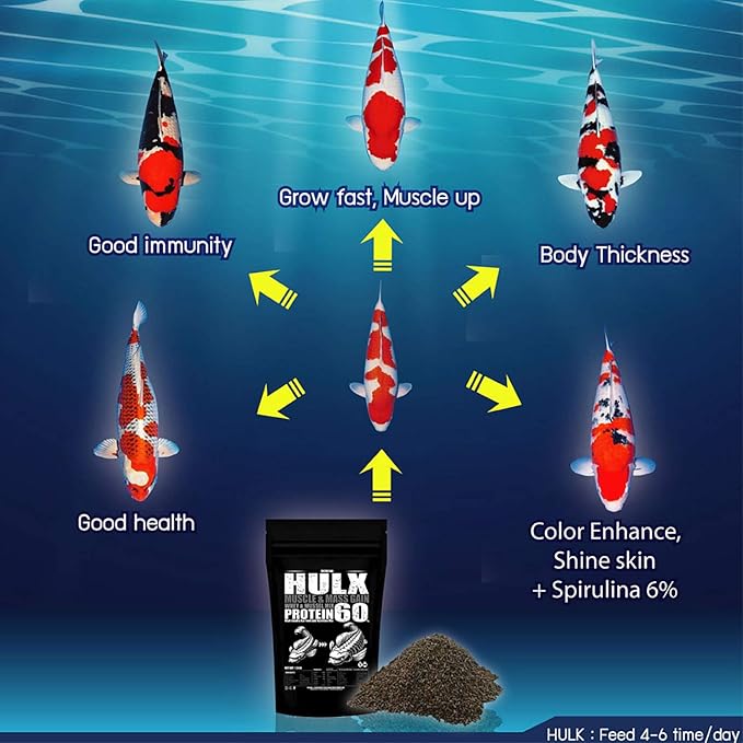 HULX Koi Fish Food Sinking Pellets for Big Muscle & Mass Weight Gain, Whey Mixed High Protein 60% Fast Growth Formula 1.3 Lb.(600 Gram.) 2mm, Healthy Nutrition Color Enhancer, Clear Water Pond Food
