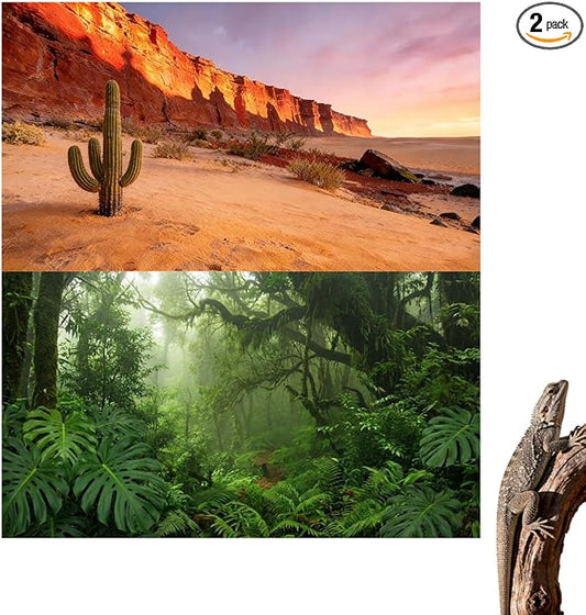 2 Pack Terrarium Background Cloth, 48x24 Inch Reptile Tank Background for Bearded Dragon & Leopard Gecko Tank Accessories, Polyester Aquarium Background with Desert & Forest Design