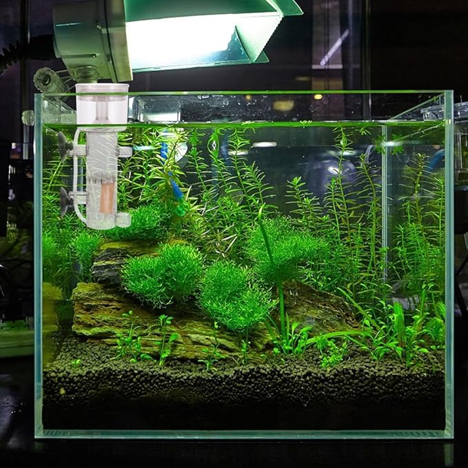 balacoo 4pcs Wooden Bubble Stone for Aquarium Natural Bubbler for Fish Tanks Oxygen Levels for Hydroponic Systems Maximizes Bubble Area Protein Skimmer Accessory
