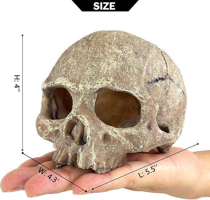 Aquarium Decoration for Fish Tank Skull Head Skeleton Aquarium Ornament Decorative Cave Landscape Aquarium Decor Reptile House Cave Fish Tank Decoration - Small