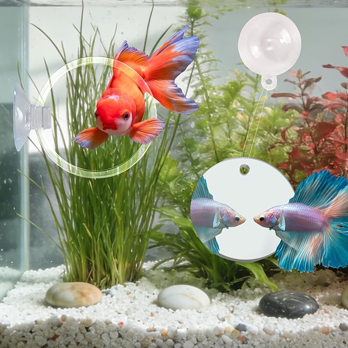 Betta Fish Toys, 2 PCS Fish Exercise Ring and Nitrifying Balls Set, Betta Mirror Toy Set, Feeding Ring with Suction Cup, Fishing Tank Accessories for Gifts (Clear)