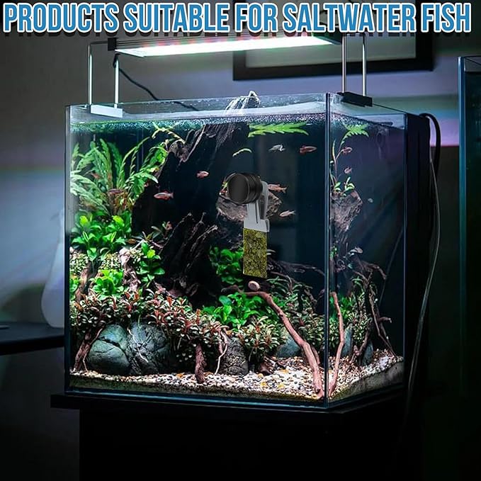 Magnetic Seaweed Feeder Clip, Saltwater Fish Aquarium Accessories Supplies Algae Magnet Seaweed Feeder Magnetic Clips,Goldfish Fish Tank Feeding Ring Suitable for Aquatic Pets