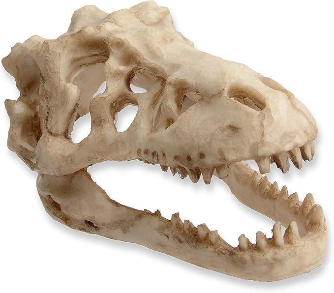 Fish Tank Decorations Dinosaur Skull Decor Resin Aquarium Decoration Accessories for Small Betta Fish, Hermit Crab Hideout Caves, Reptile House Ornament