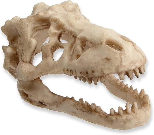 Fish Tank Decorations Dinosaur Skull Decor Resin Aquarium Decoration Accessories for Small Betta Fish, Hermit Crab Hideout Caves, Reptile House Ornament