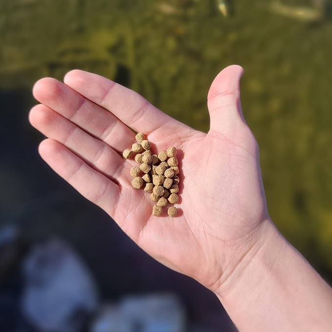 HALF OFF PONDS All Seasons Koi Fish Food - 20 lb Floating Pellets, 5mm Size - Goldfish Food for Ponds - 28% Protein with Wheat Germ & Vitamins - Ideal for Year-Round Feeding & Water Clarity