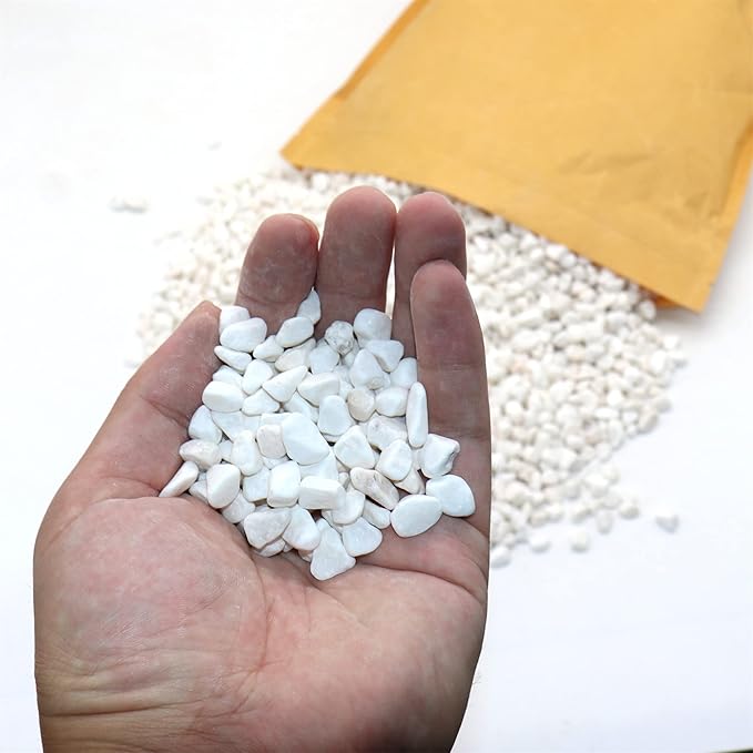 White Rocks. Decorative Pebbles. 1/5 Inch 10 lbs for Garden, Landscaping, Indoor, Vase Fillers, Crafting, Succulents, Pots, Plants (Mini, Tumbled)