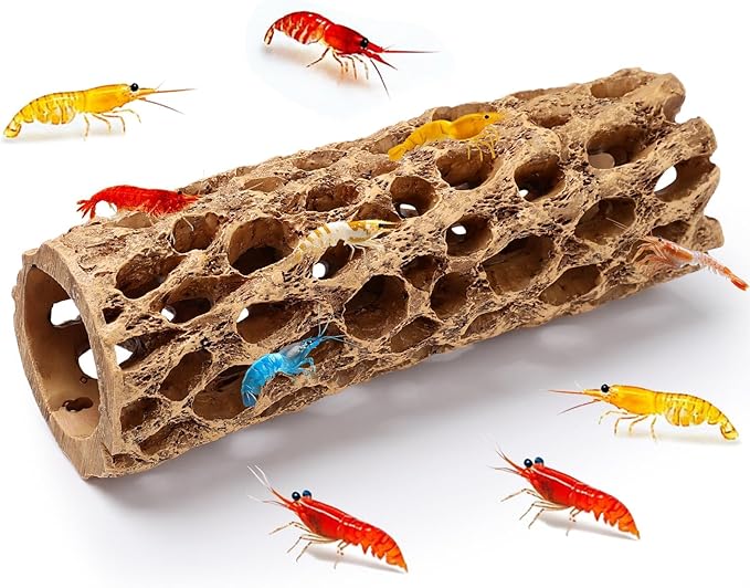 6“ Resin Cholla Wood Aquarium Décor Wood- Realistic Shrimp Hideout & Climbing Toy (6" L×2”Dia, 1pc)