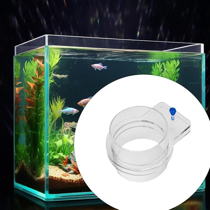 Fish Feeder, Clear Fish Feeding Ring Food Feeder, Prevent Fish Food from Spreading for Fish Tank, Aquarium, 100mm