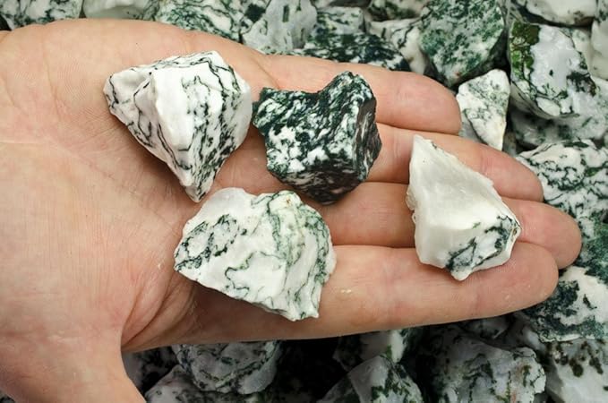 Fantasia Materials: 3 lbs Tree Agate Rough Stones from India