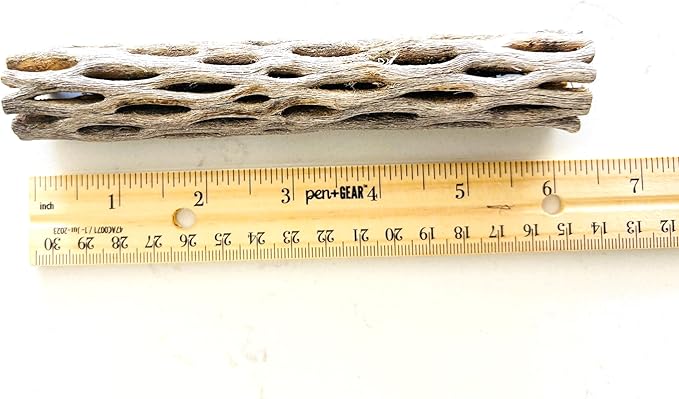 Natural Cholla Wood, Choya Air Plant, Untreated Beautiful Driftwood, Aquarium Decor, Betta Fish, Plecos, Shrimp, Minnows, Neon tetras, Cory Catfish, 6'' Long, 0.8 – 1'' Diameter, 5 – Pieces.