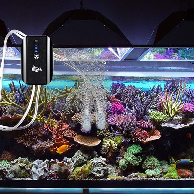 AQQA Aquarium Air Pump, Battery Rechargeable Portable Bubbles Oxygen Pump for Fresh & Saltwater Aquariums with Air Stone, Tubes, USB Cable and Adapter (2.5 W for 1-140Gal Tank)