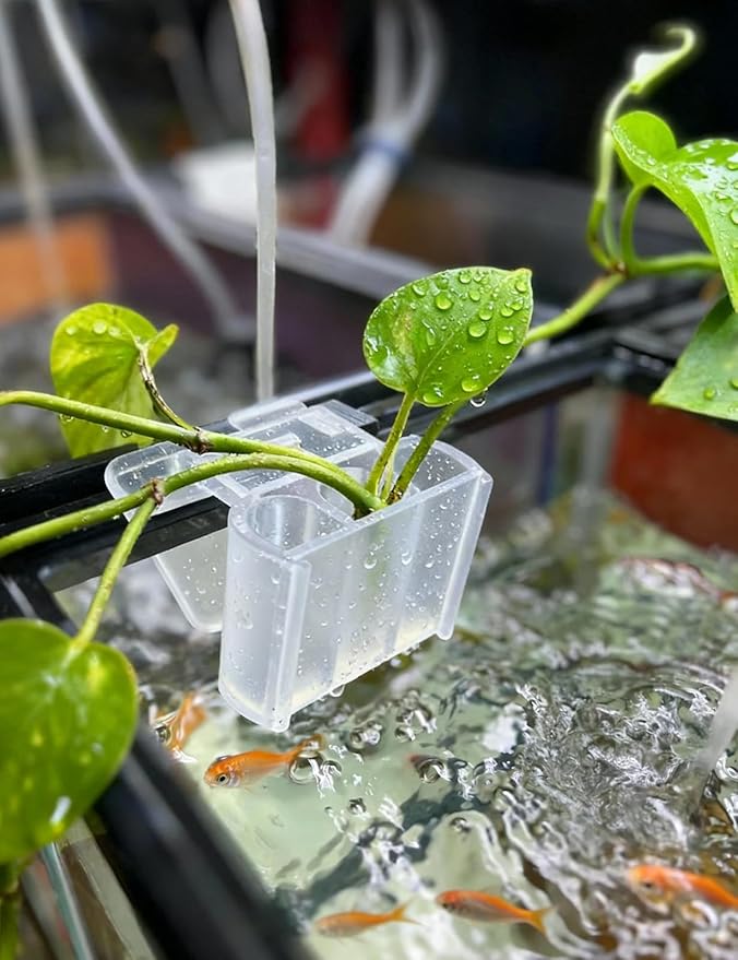 sogiv 3 Holes Aquatic Plant Cups, Hanging Aquarium Plant Holder for Fish Tank Plants Potting, Aquascape Accessories Decorations, Clear, 1 Pcs