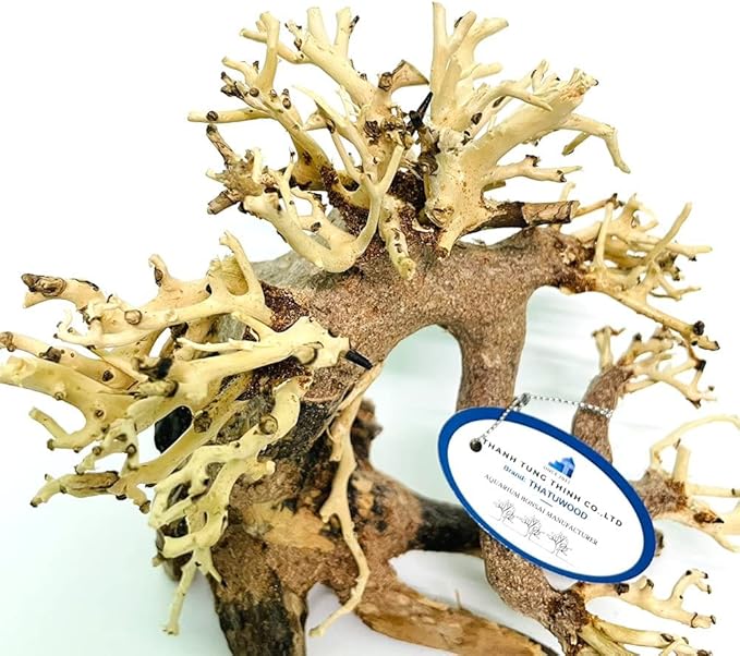 Bonsai Driftwood Aquarium Tree (8in H x 6in L), Handcrafted Fish Tank Decoration | Easy to Install Driftwood Bonsai for Fish Tank | Decor Aquascape Wood (Bonsai Tree)