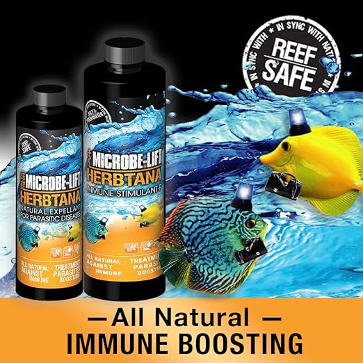 MICROBE-LIFT Herbtana Fish Medicine, Immune Booster and Parasite Treatment for Aquarium Fish Health, Ich Treatment, Use in Freshwater Tank or Saltwater Aquarium, 16 Ounces (HERB16)