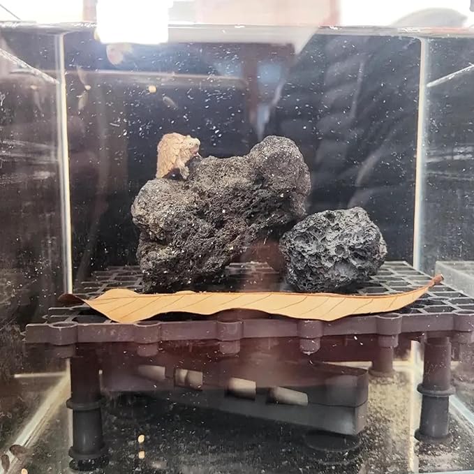 Tfwadmx 10 Pack Aquarium Black Lava Rock Fish Tank Volcanic Pumice Stones for Betta Fish Shrimp (1.96''-3.14'')