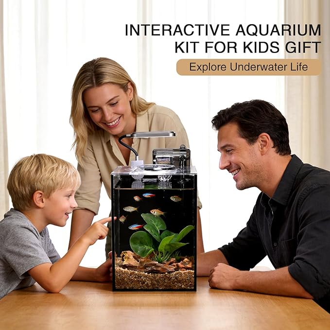 2.2 Gallon Betta Fish Tank, Small Aquarium Kit,Glass Small Fish Tank,Betta Fish Tank with a lid and Light and Filter, Small Transparent Glass Fish Tank with Light and Filter(Black Glass Background)
