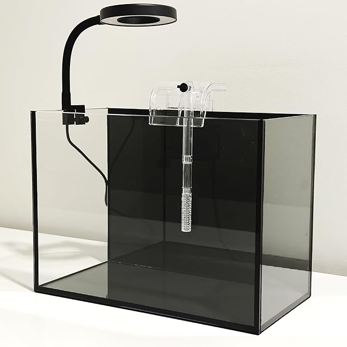 Nano Aquarium Kit 2.2 Gallon, Rimless Glass Betta Fish Tank with Filter & LED Light, 12" x 6" x 8" Small Desktop Fish Tank for Home Office (Black, Complete)