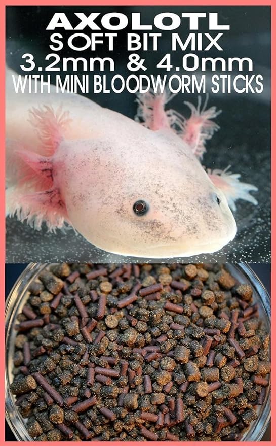 Gourmet Axolotl Soft Food Pellet Mix 3.2mm & 4.0mm & MINI BLOODWORM Sticks - A7 (7oz)