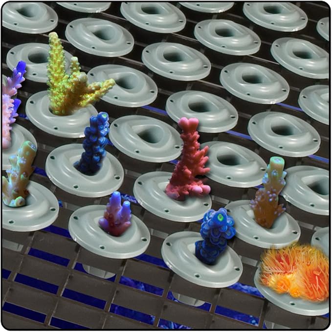 Via Aqua Coral Propagation Plugs (10 Pack)
