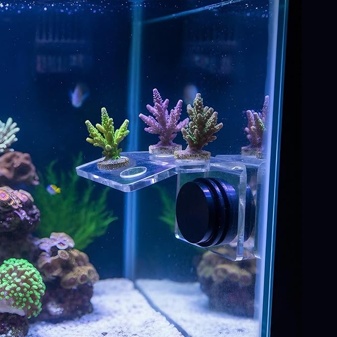 Balacoo Magnetic Coral Frag Holder, 4 Holes Acrylic Aquarium Coral Frag Rack with Strong Magnetic Suction Cup for Fish Tank Aquarium Plant Holder