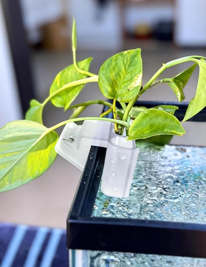 sogiv 3 Holes Aquatic Plant Cups, Hanging Aquarium Plant Holder for Fish Tank Plants Potting, Aquascape Accessories Decorations, Clear, 1 Pcs
