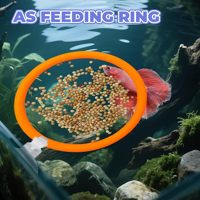 Beta Fish Aquariums Accessories, 1 Fish Mirror with Floating Ball & 2 Exercise Training Ring Toys, Fish Feeding Ring, Betta Fish Toys Set for Tank, Enrichment Toys for Fish