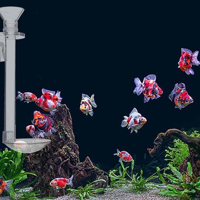 INOOMP Wall-Mounted Fish Feeder with Transparent Sinking Tube and Feeding Ring Easy Setup Aquarium Shrimp Feeder for Fish Tank 5.90 Inch