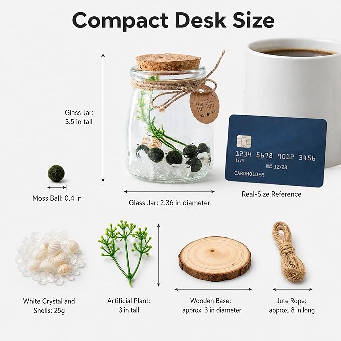 Moss Balls Glass Terrarium Kit - 5 Decorative Green Balls with Glass Jar, White Crystal, DIYAquarium and Desk Decor, Easy-Care Gift for Home and Office