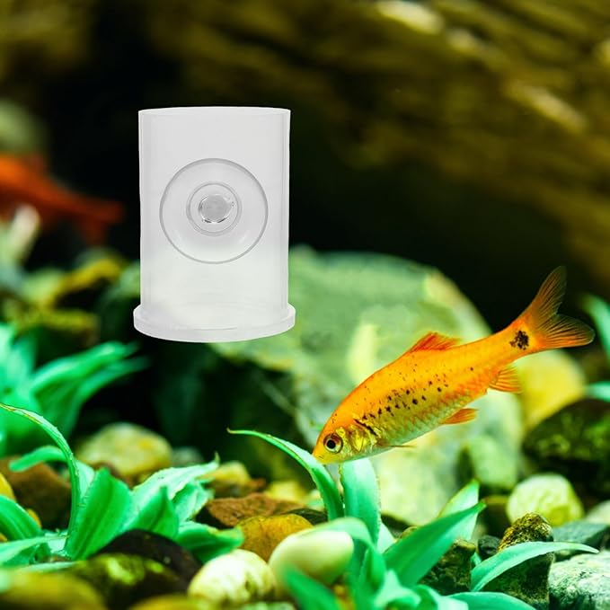 Fish Tank Feeder Semi-Automatic Feeding Ring with Suction Cup Acrylic Shrimp Food Dish for Aquarium Small Fish Turtle Supplies