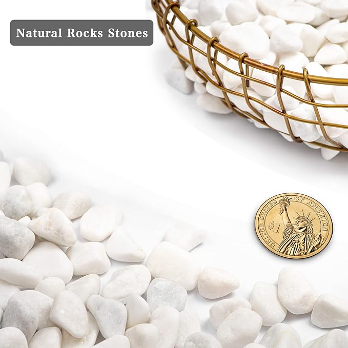 5lbs White Natural River Rocks, Polished Pebbles for Plants Garden, 0.3-0.8 inch Decorative White Stones, Ideal for Fish Tank, Vases, Crafting, Home Decor and Garden Landscaping Rocks,White